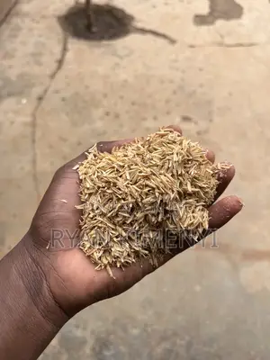 Rice Husk (For Chicken Brooding and Bedding)