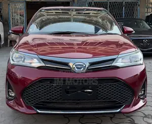 Toyota Axio 2019 Red