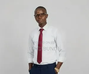 Professional Accountant Curriculum Vitae