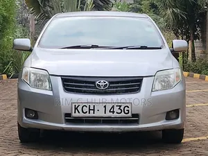 Toyota Axio 2010 Silver