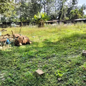 1/2 Acre Plot for Rent/Lease in Karen, Along Lang'ata South Road