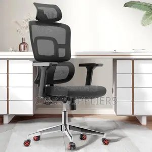 Orthopedic High Backrest Office Chair.