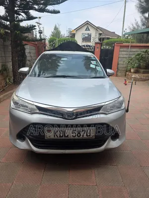 Toyota Axio 2015 Silver