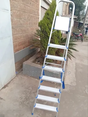8 Step Aluminum Ladder