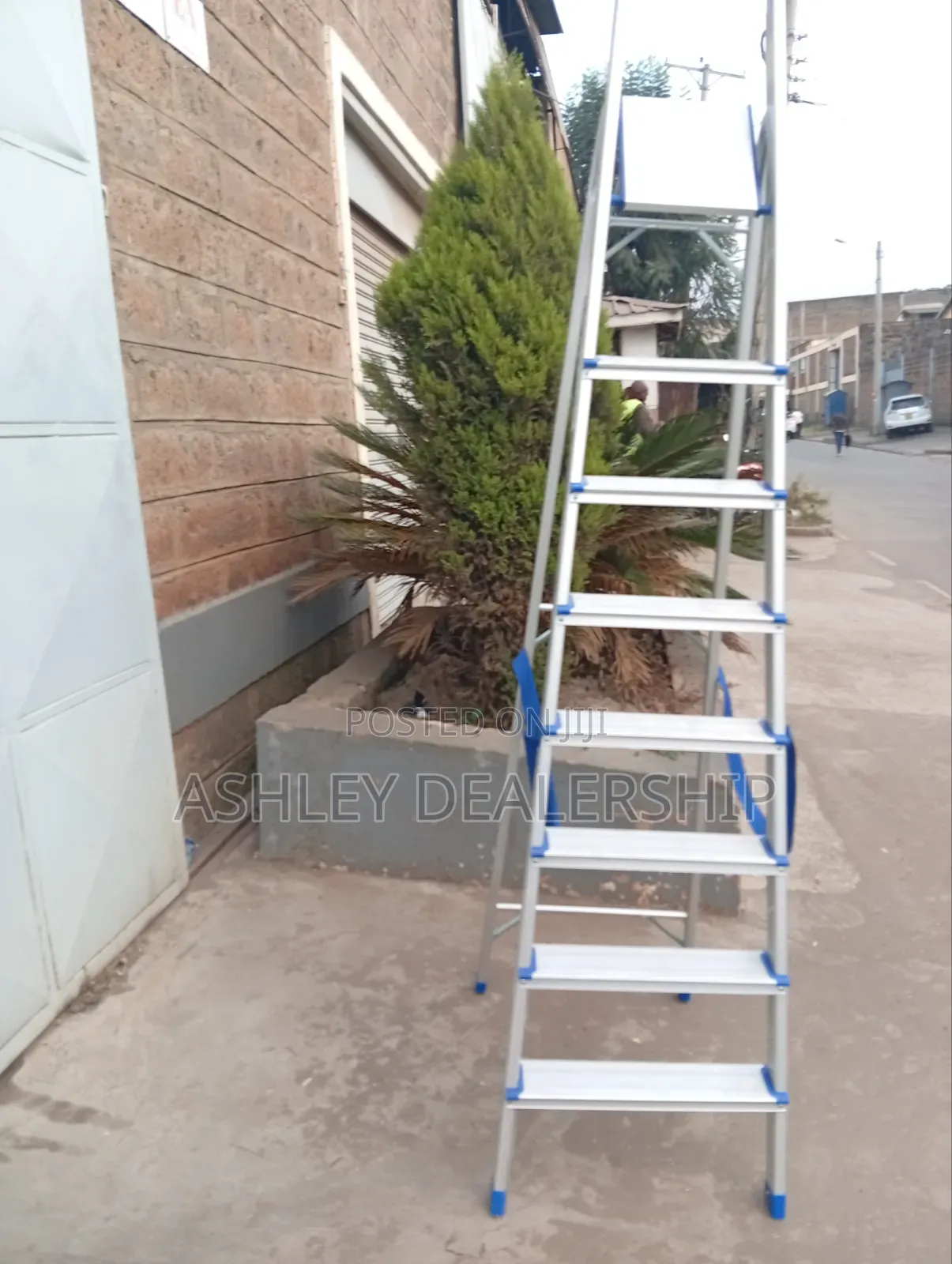8 Step Aluminum Ladder