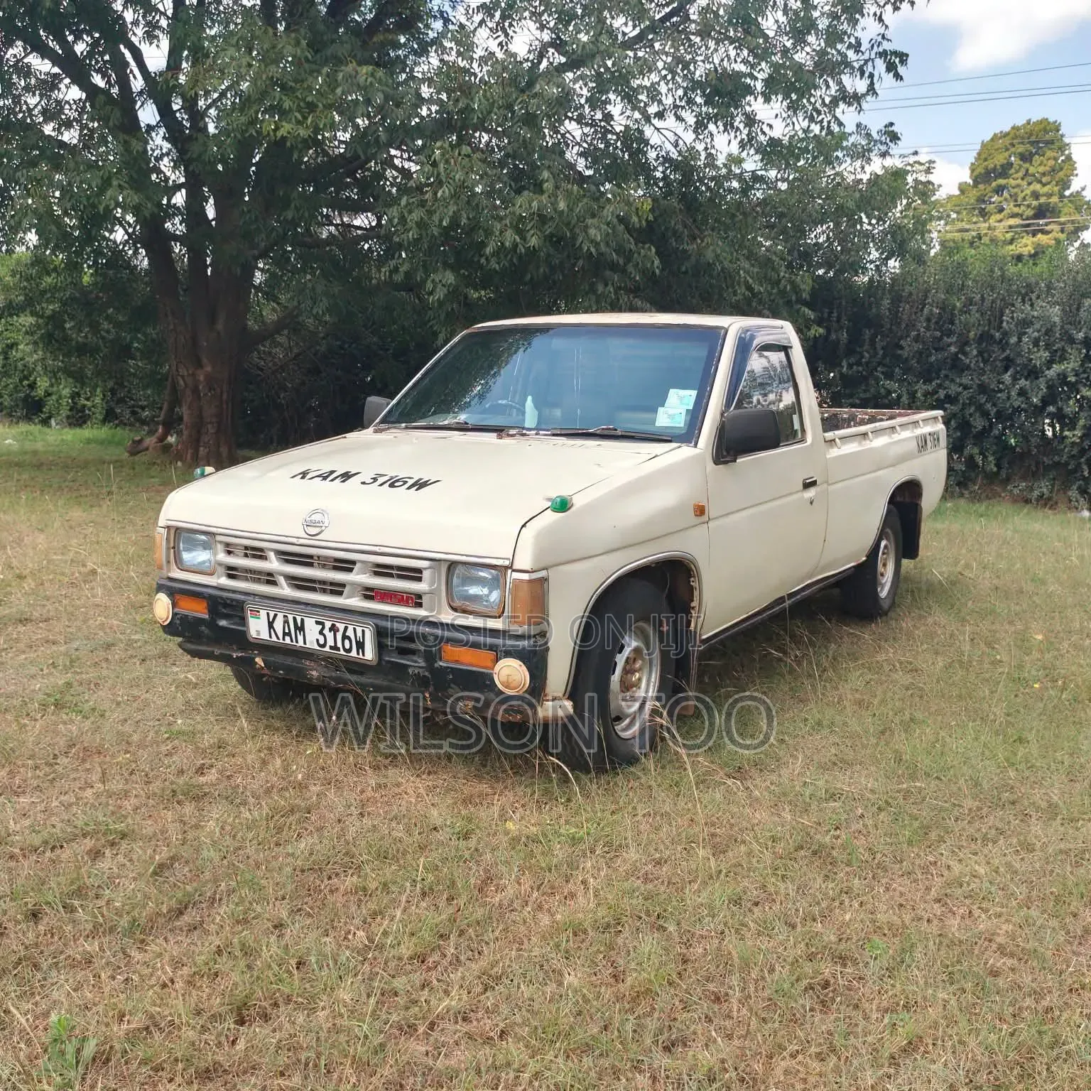 Nissan Pick-Up 2003 White