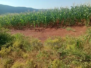 4acres at Solai KFA Nakuru