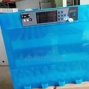 220 Eggs Automatic Incubator