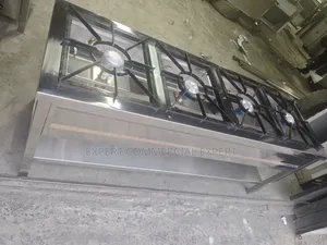 Stainless Steel Four Burner