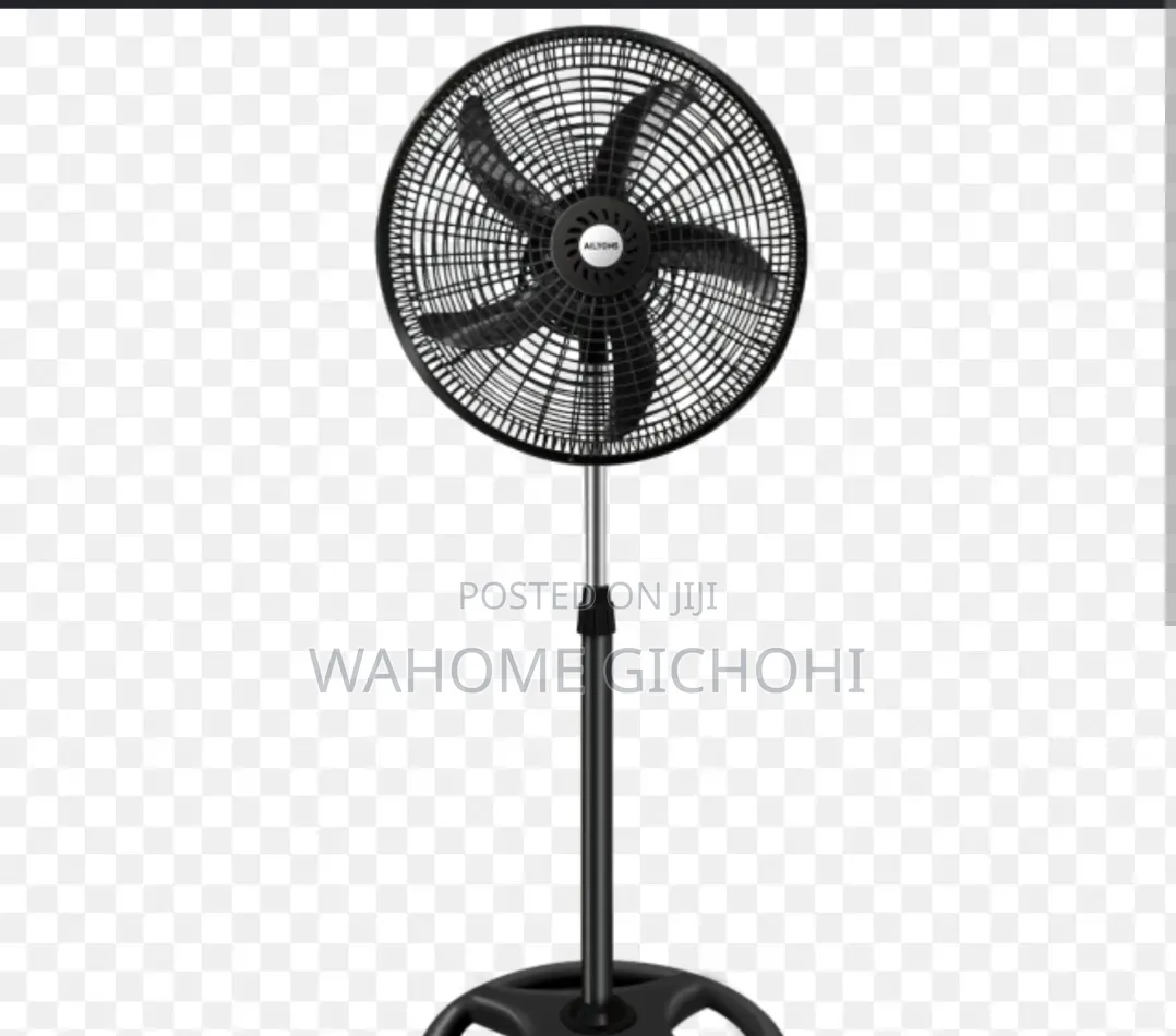 Fan Ailyons