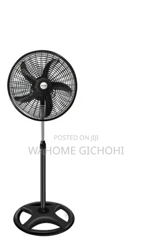 Fan Ailyons