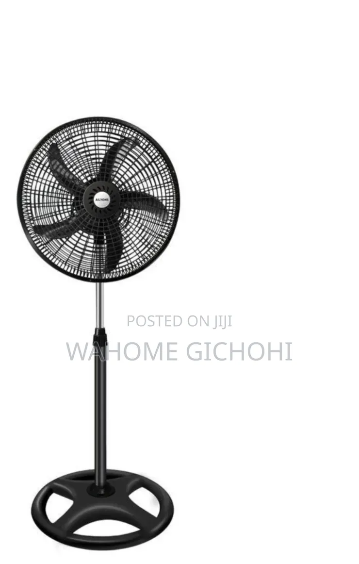 Fan Ailyons