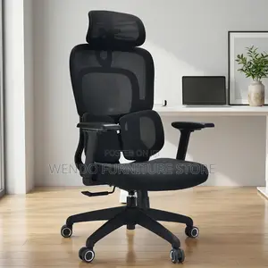 Office Chairs; Executive Orthopedic Mesh Office Chair