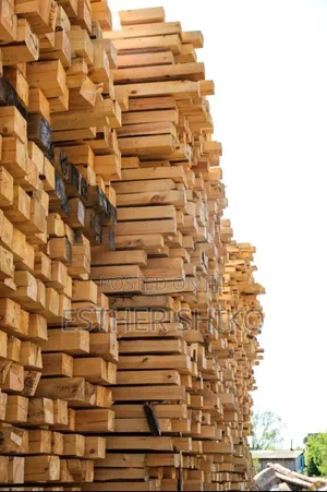 Roofing Timber for Sale