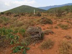 6.5 Acres Block on Sale Ndeiya Nguirubi Karera.