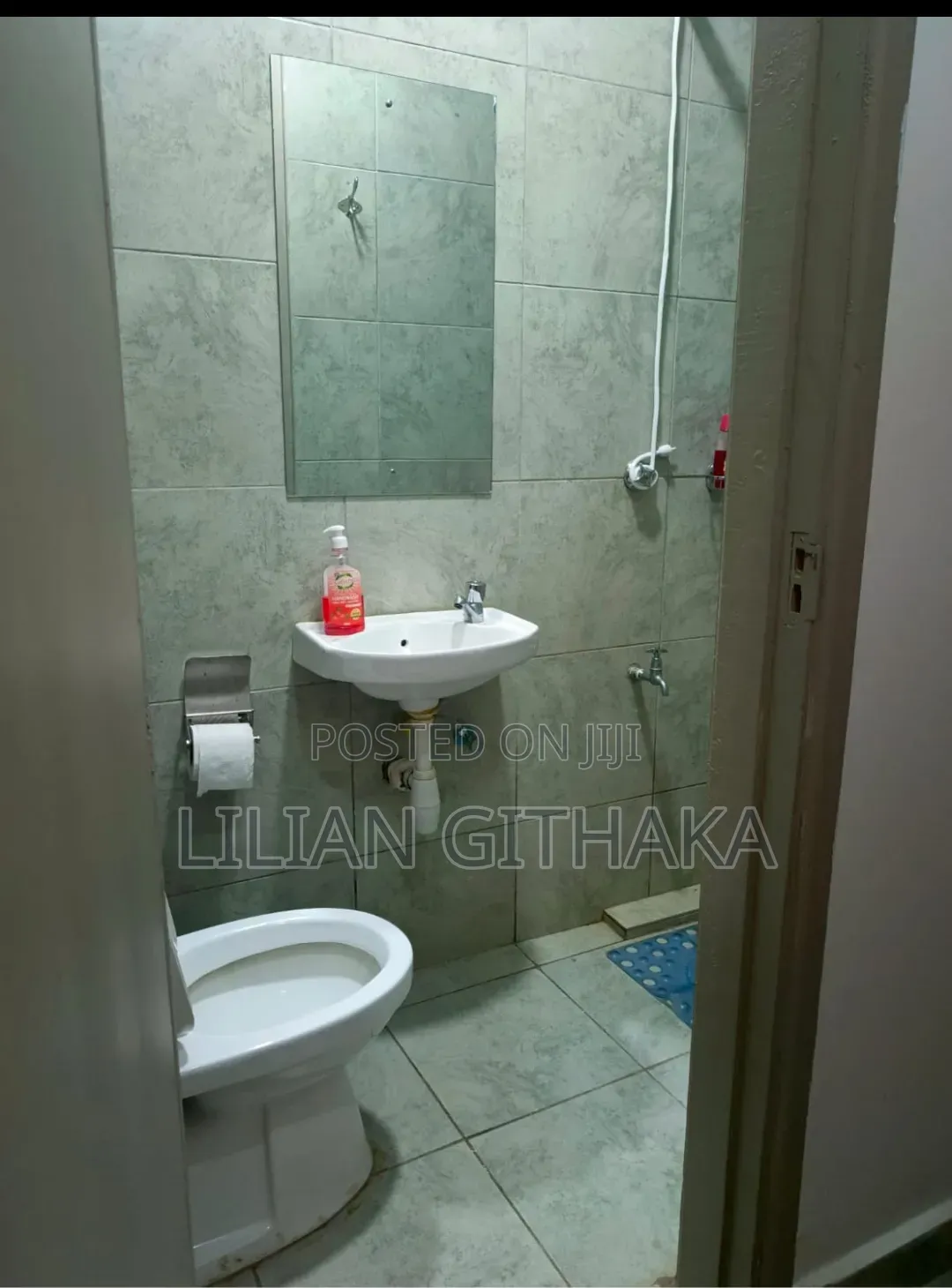 Airbnb, 1 Bedroom Apartment at Roysambu