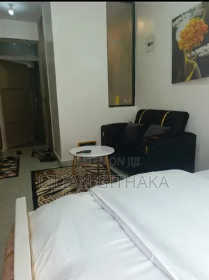 Airbnb, Studio Apartment at Roysambu