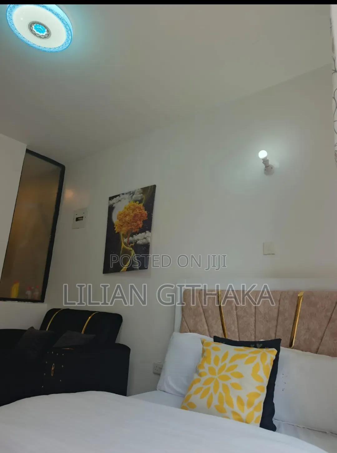 Airbnb, Studio Apartment at Roysambu