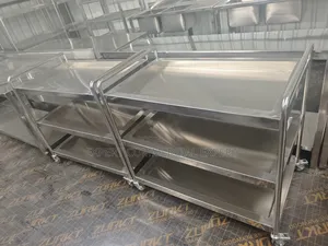 Hospital Food Trolley