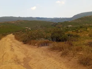 4.5acres Block of Land for Sale in Ndeiya Nguirubi Karera Area