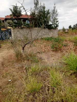 100*100 Plot at Machakos Town Kathome