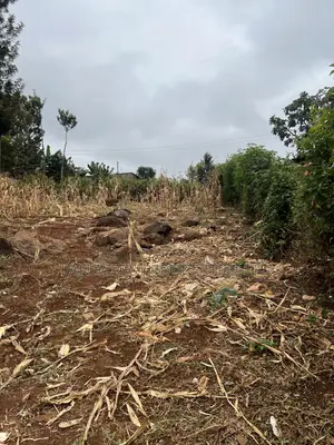 Prime 1/8 Acre for Sale in Maragua,sumary