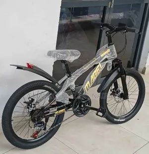 Size 20 21gears Bike/Size 20 21gears Bike