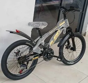 Affordable Size 20 21gears Bike