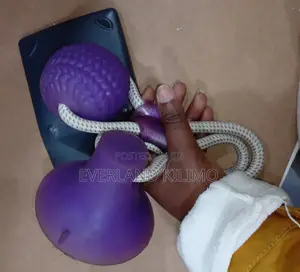 Interactive Suction Cup Dog Tug Toy