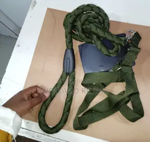 Heavy-Duty Green Braided Nylon Rope Dog Leash and Harness Set