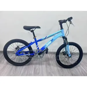 BMX Bike Size 24