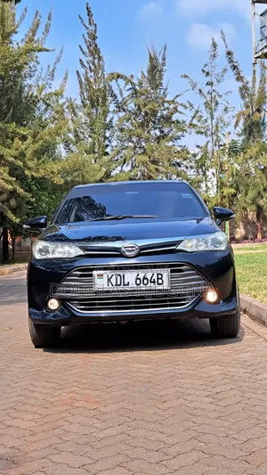 Toyota Axio 2015 Black