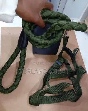 Adjustable Dog Leash and Harness