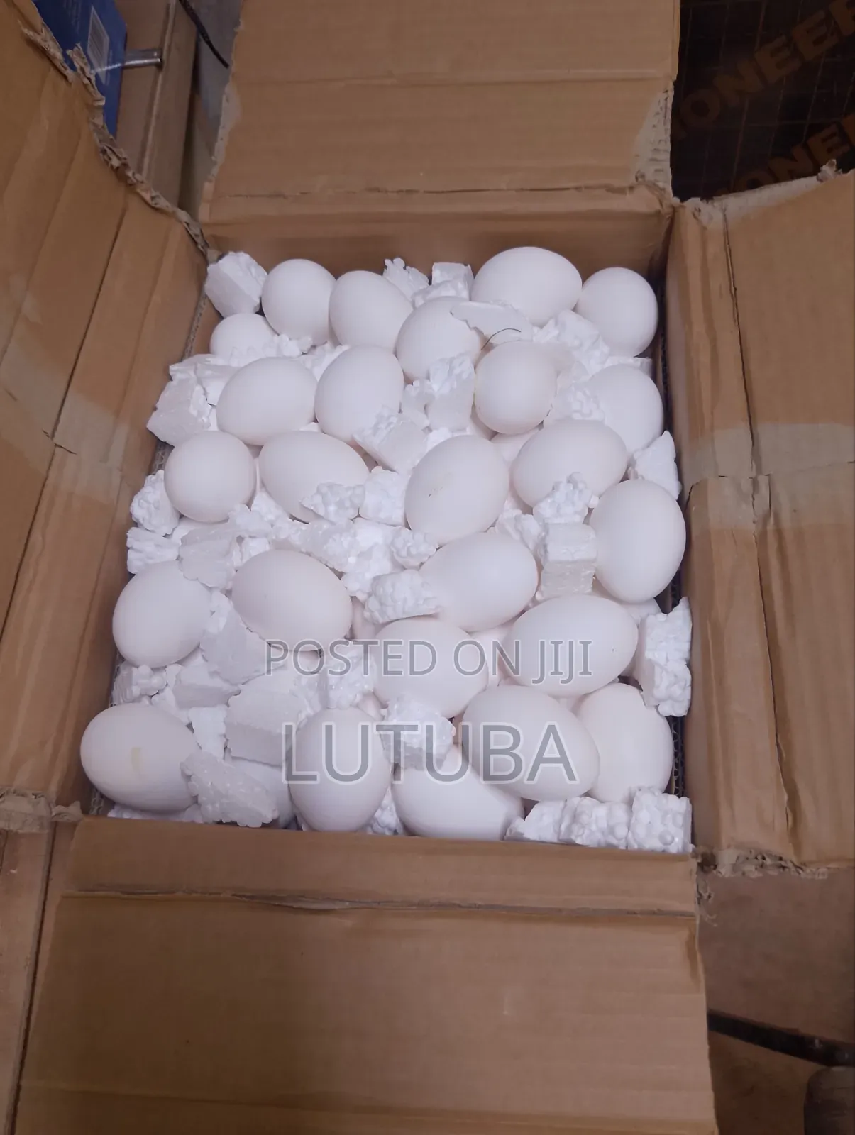 Incubation and Hatching Services