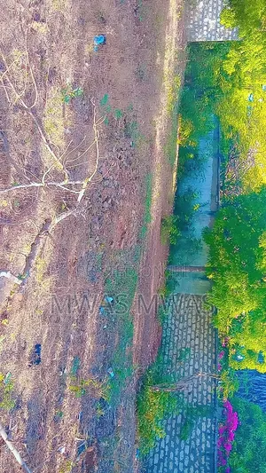 Plot for Sale in Thika Kibute and Watamu Malindi