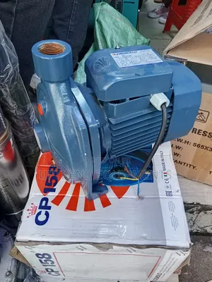 Pedrollo Water Pump 1hp