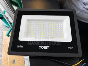 100Watts AC Floodlight