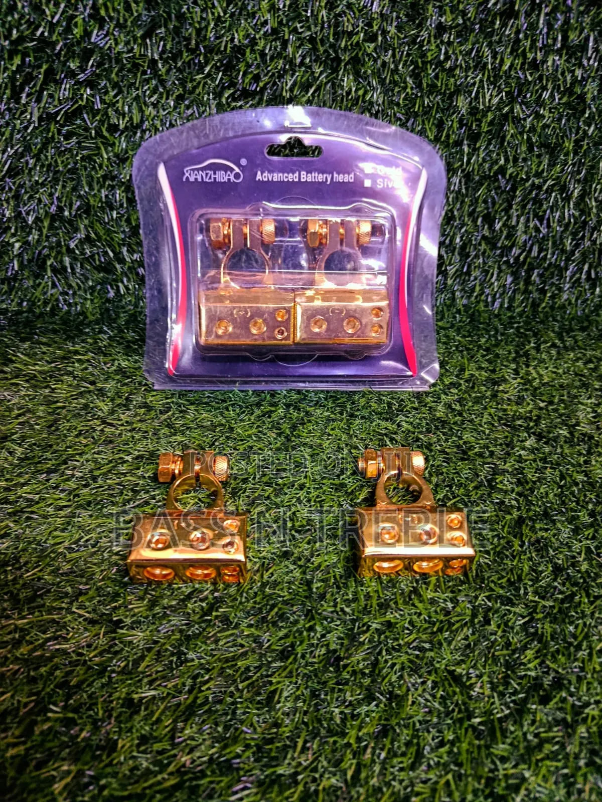 Advance Battery Terminal
