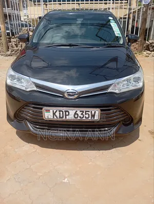 Toyota Axio 2017 Black