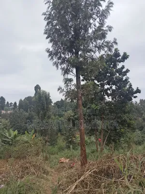 Leasing a Peace of 50×100 Land