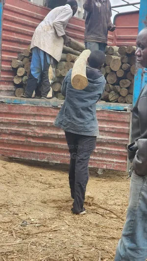 18ft/20ft Treated Poles