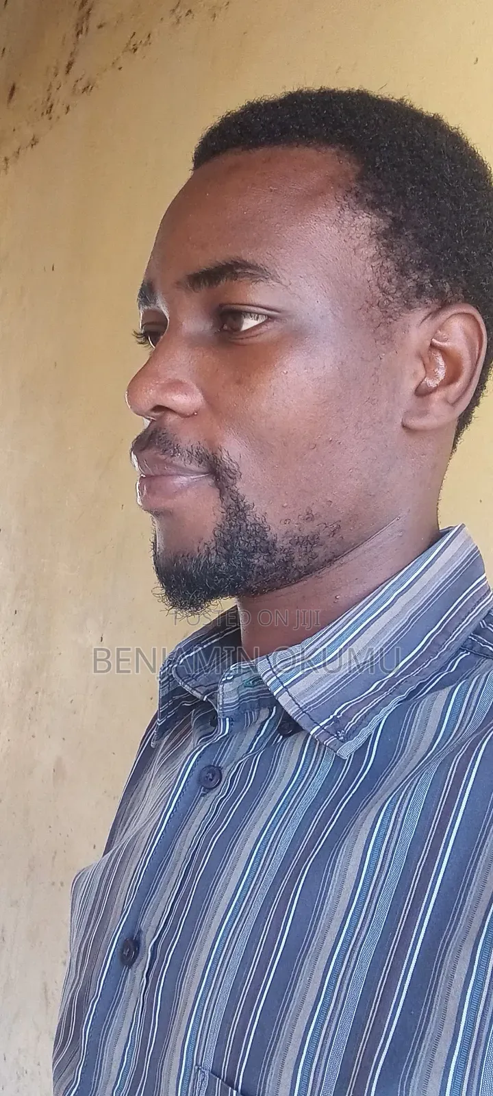 A Teacher of Languages and Linguistics
