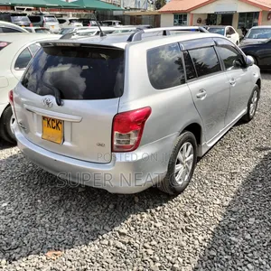 Toyota Corolla Fielder 2009 Silver