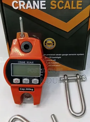 New Hanging 300KG Crane Scale/300kg Scale