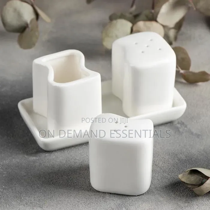 Ceramic 4pc Salt Shaker Square