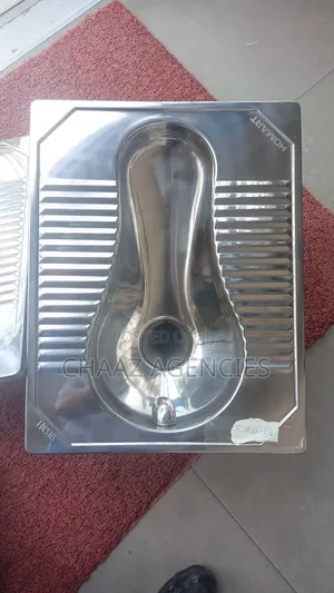 Stainless Asian Toilet