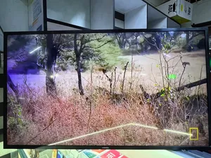 Samsung TV