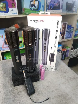 Party Speaker Wireless Microphone Dual
