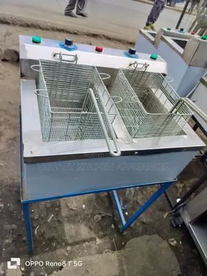 Double Electric Deep Fryer