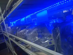 Head Lights